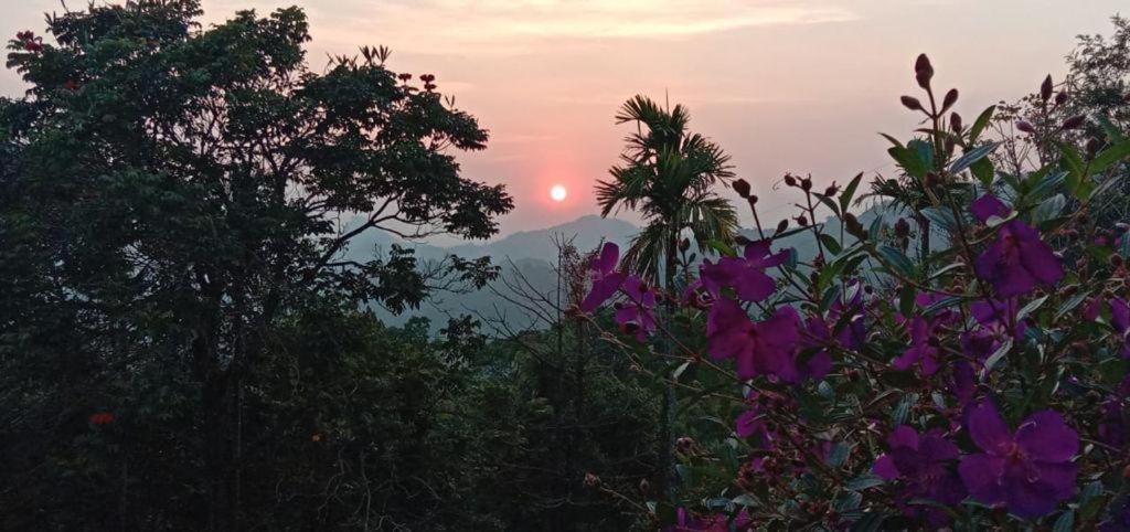 Munnar Tent Hills Resort Devikolam Buitenkant foto