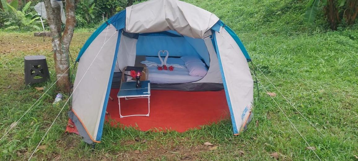 Munnar Tent Hills Resort Devikolam Buitenkant foto