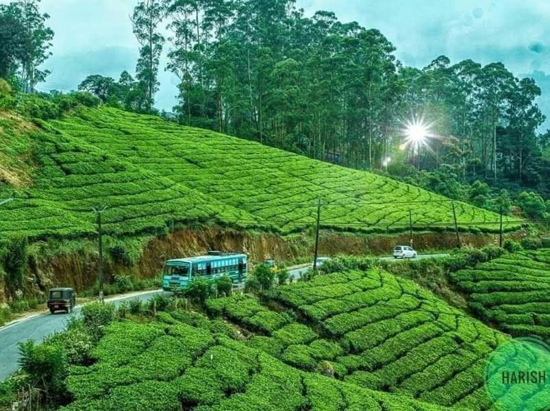 Munnar Tent Hills Resort Devikolam Buitenkant foto