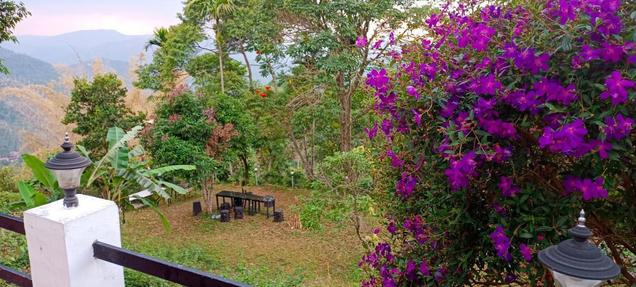 Munnar Tent Hills Resort Devikolam Buitenkant foto
