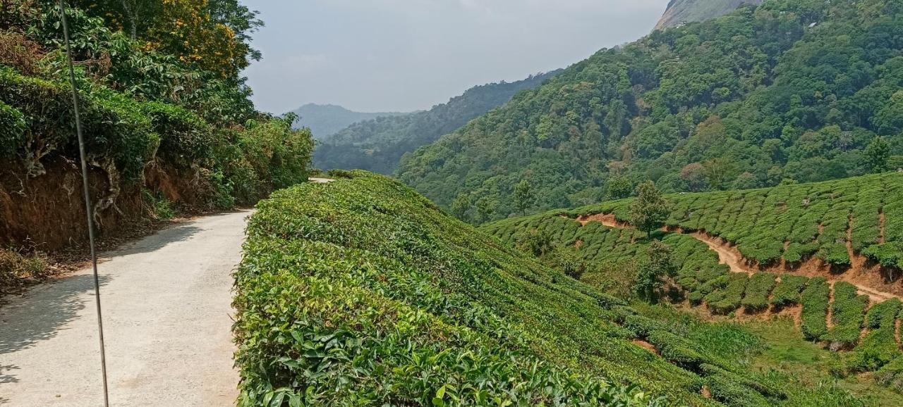 Munnar Tent Hills Resort Devikolam Buitenkant foto