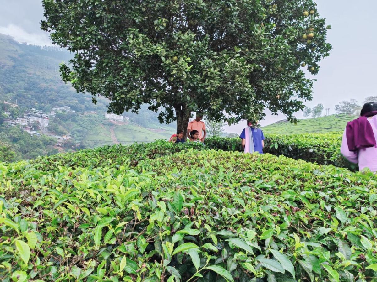 Munnar Tent Hills Resort Devikolam Buitenkant foto